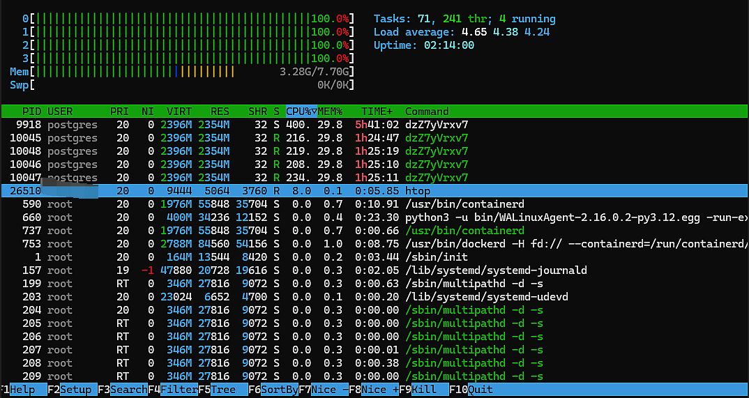 Abnormal CPU usage in server htop