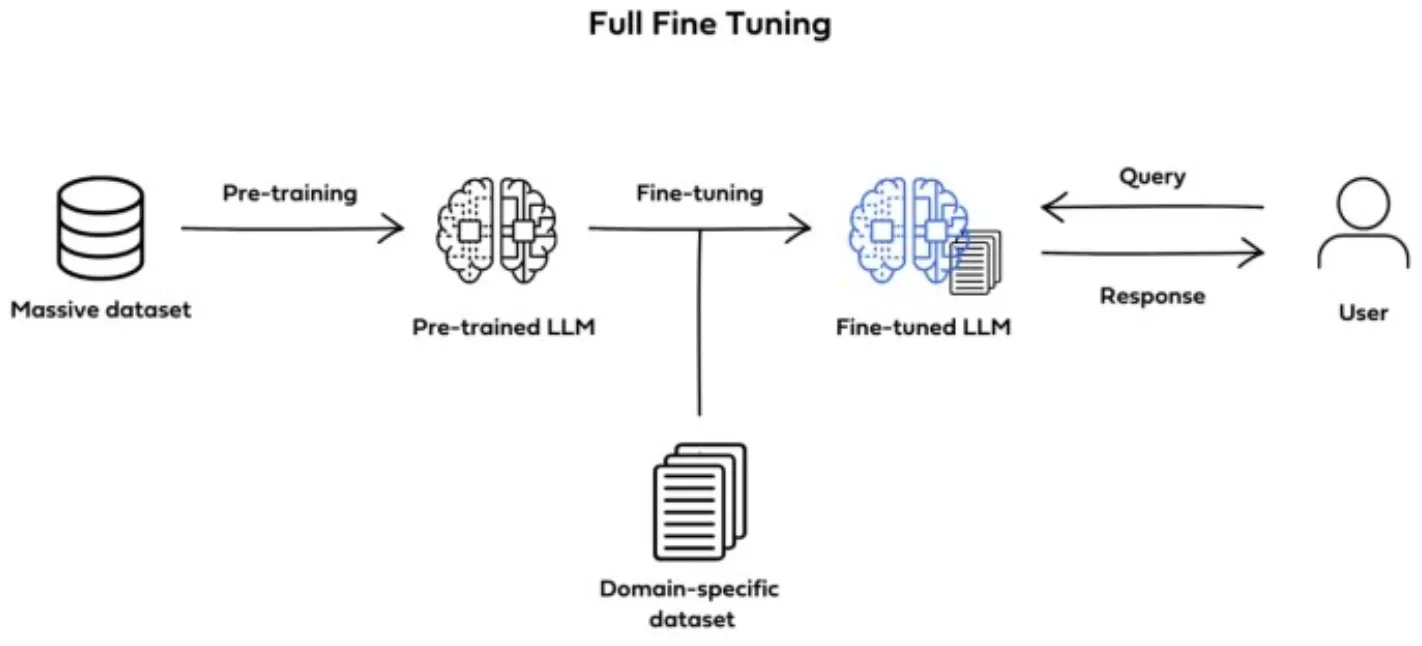 Full Fine-tuning